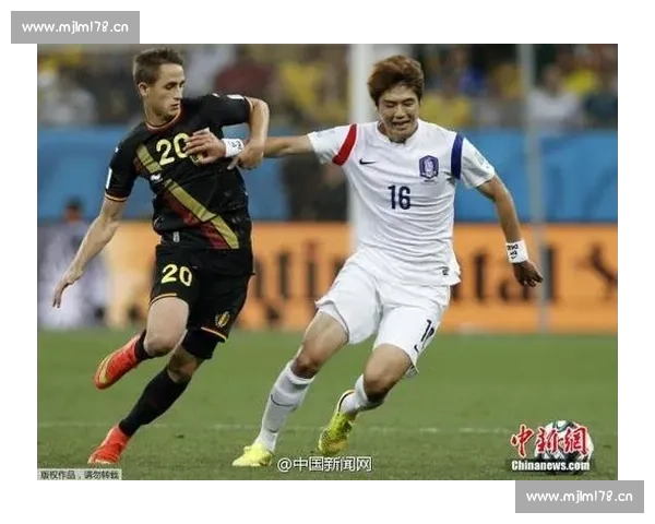 直击全球国际赛犬赛事震撼对决全程高清精彩视频巅峰集锦大赏精华 直击全球国际赛犬赛事震撼对决全程高清精彩视频巅峰集锦大赏精华